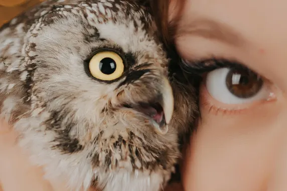 Kasino AllStar Slots Podpora